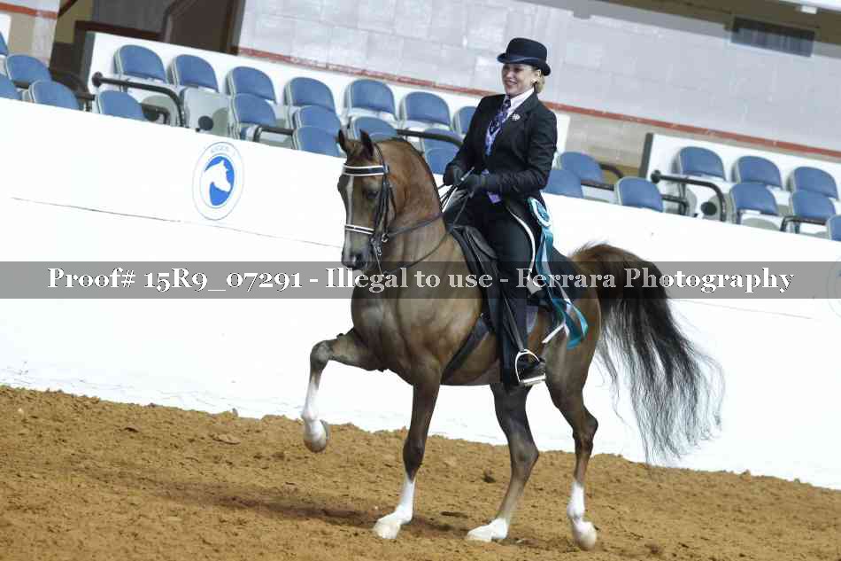 Proof Number 15R9_07291