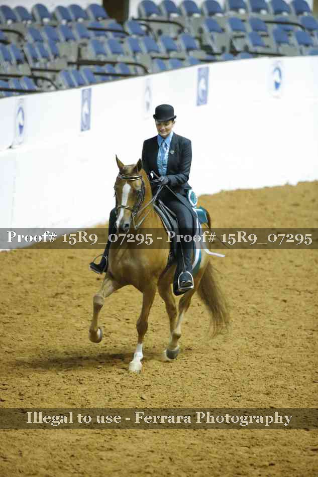 Proof Number 15R9_07295