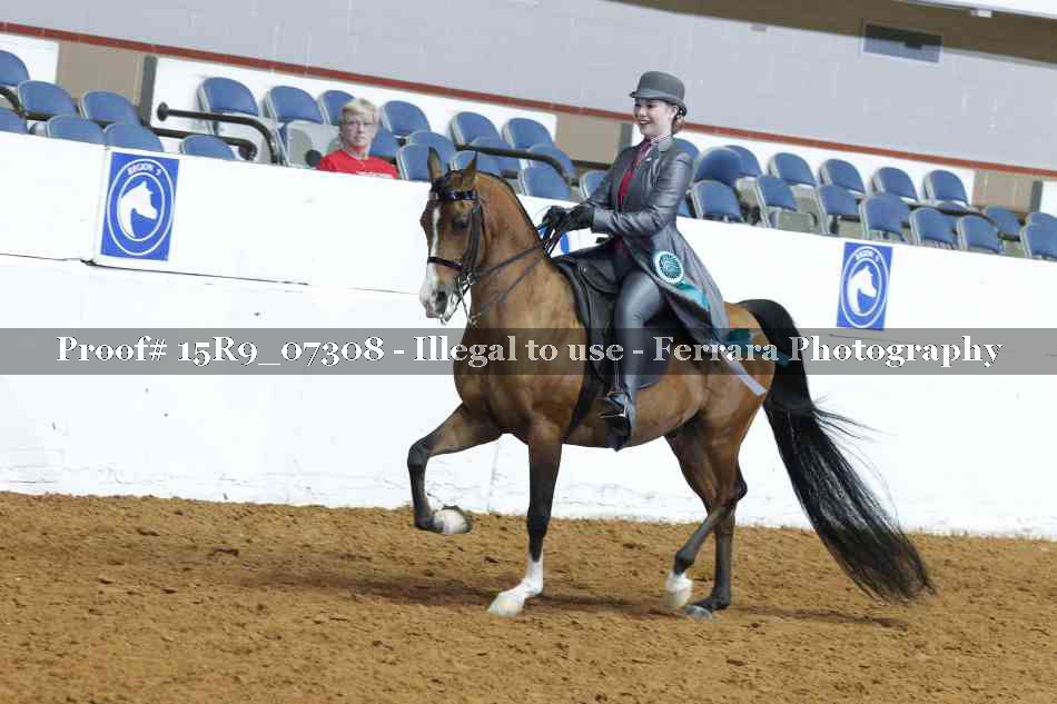 Proof Number 15R9_07308
