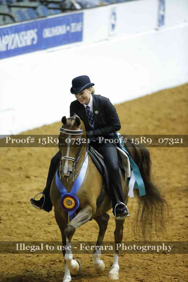 Proof Number 15R9_07321