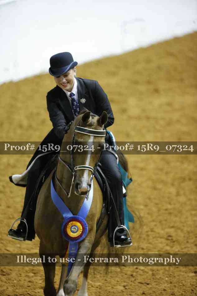 Proof Number 15R9_07324