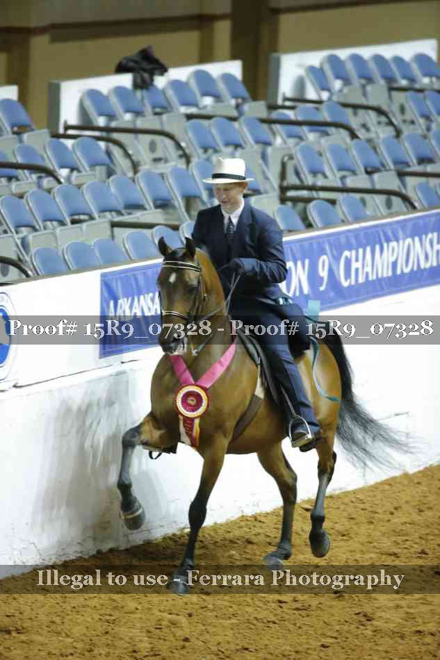 Proof Number 15R9_07328