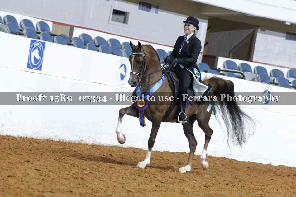 Proof Number 15R9_07334