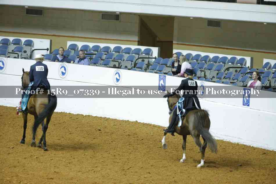 Proof Number 15R9_07339