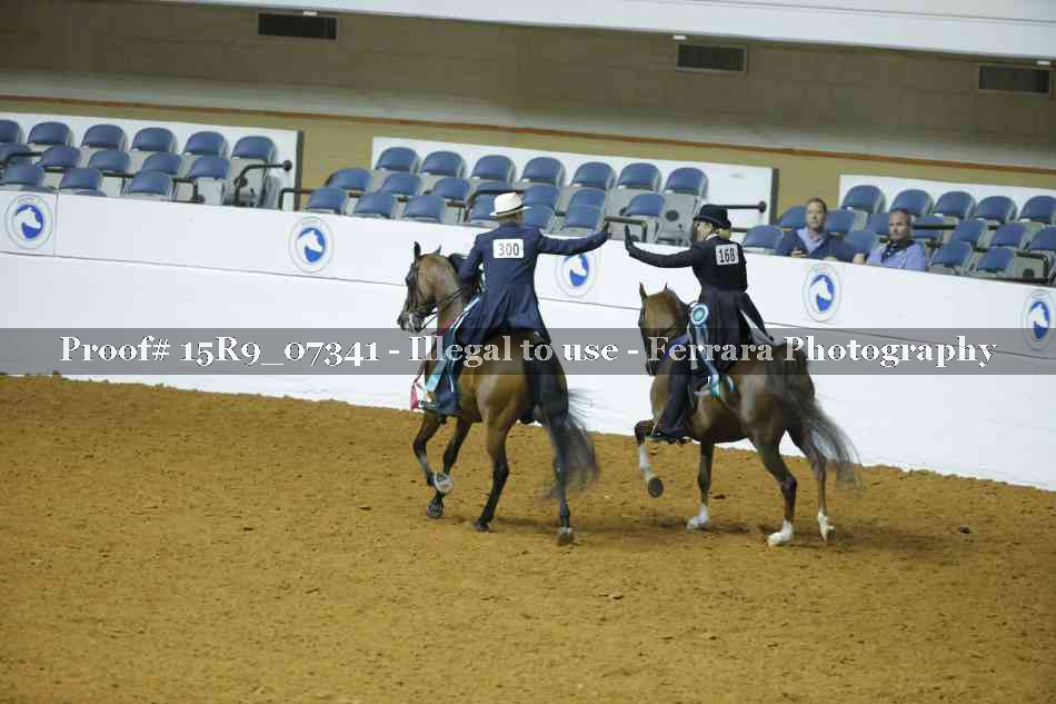 Proof Number 15R9_07341