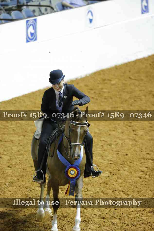 Proof Number 15R9_07346