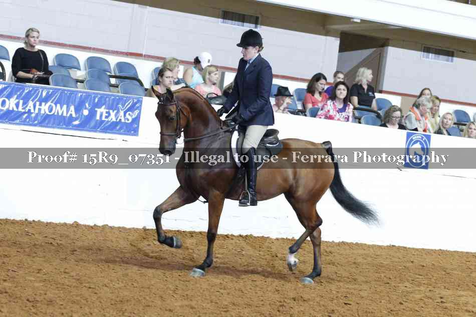 Proof Number 15R9_07351