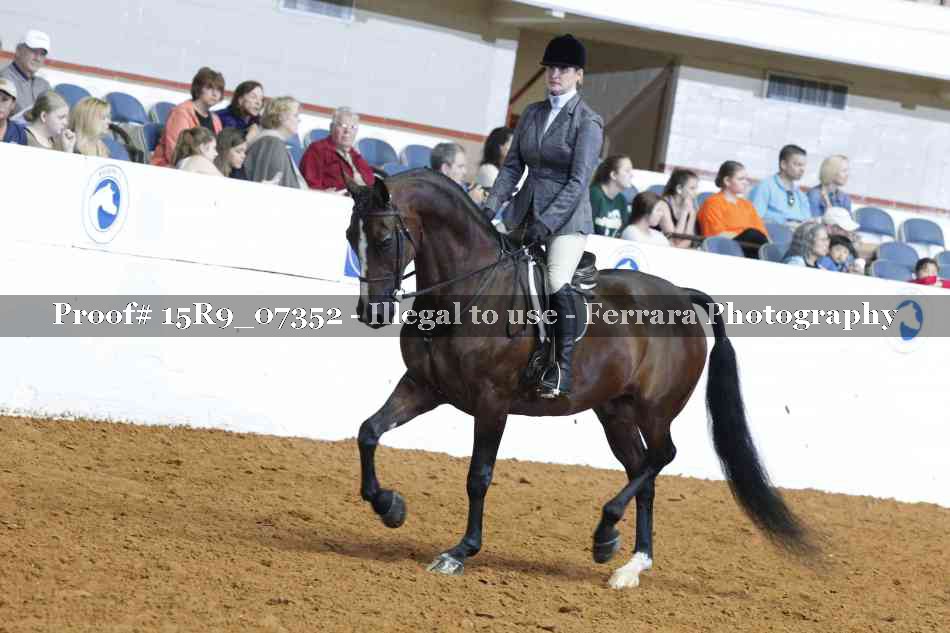 Proof Number 15R9_07352