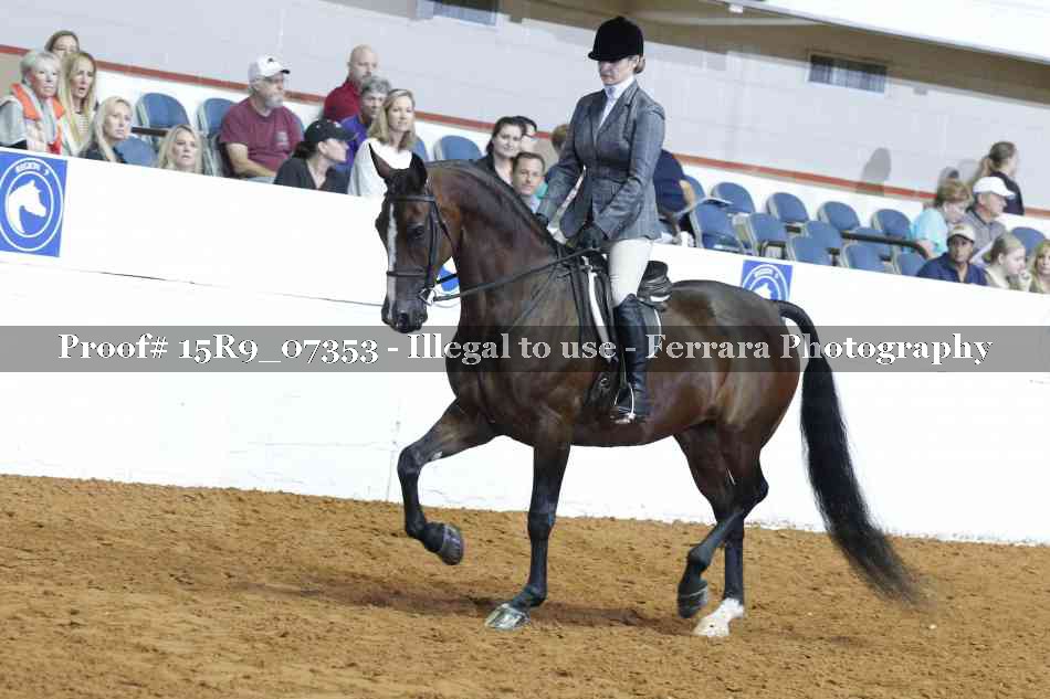 Proof Number 15R9_07353