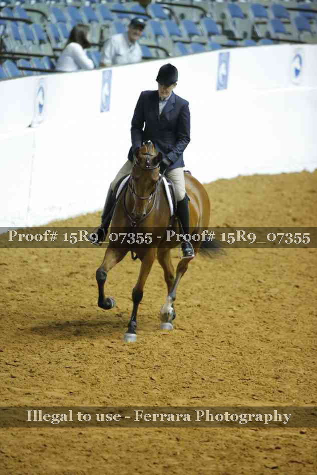 Proof Number 15R9_07355