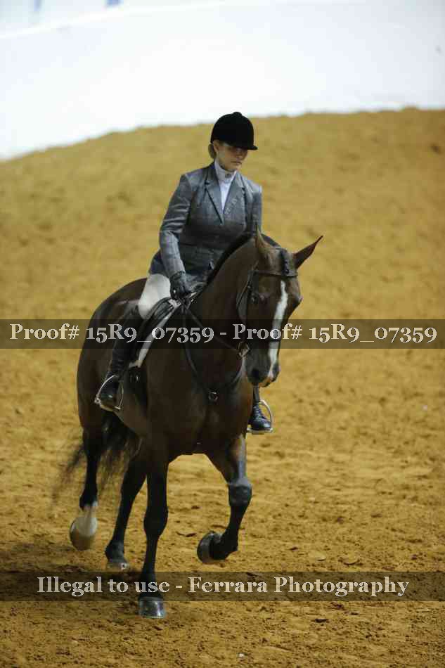 Proof Number 15R9_07359
