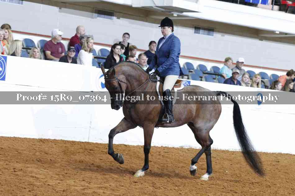 Proof Number 15R9_07364