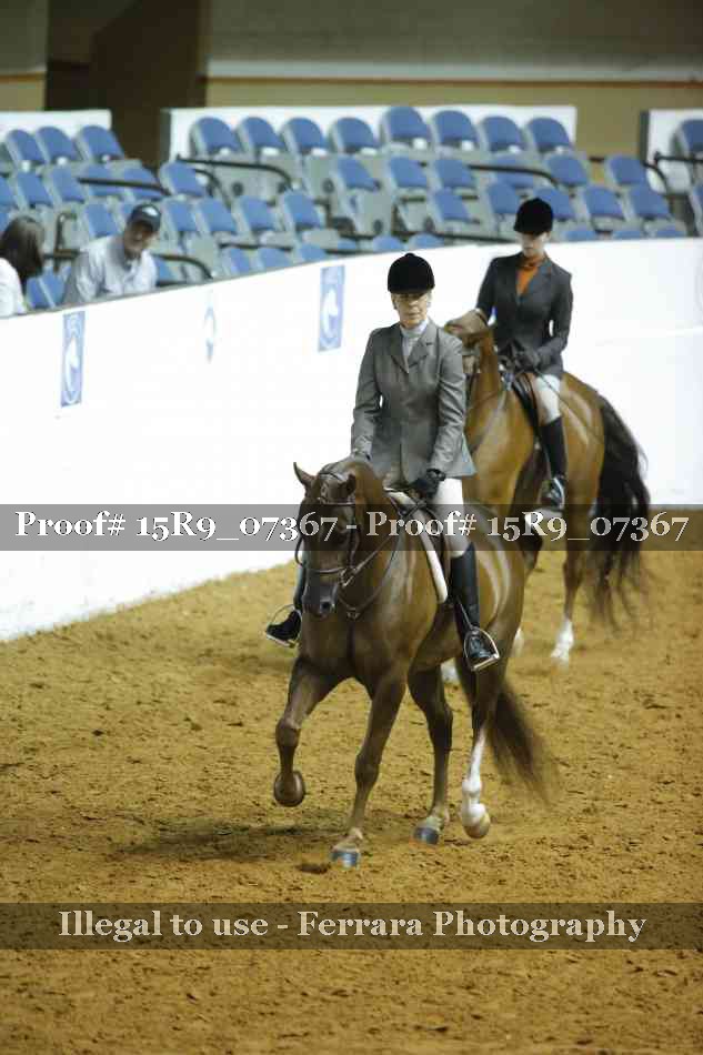 Proof Number 15R9_07367