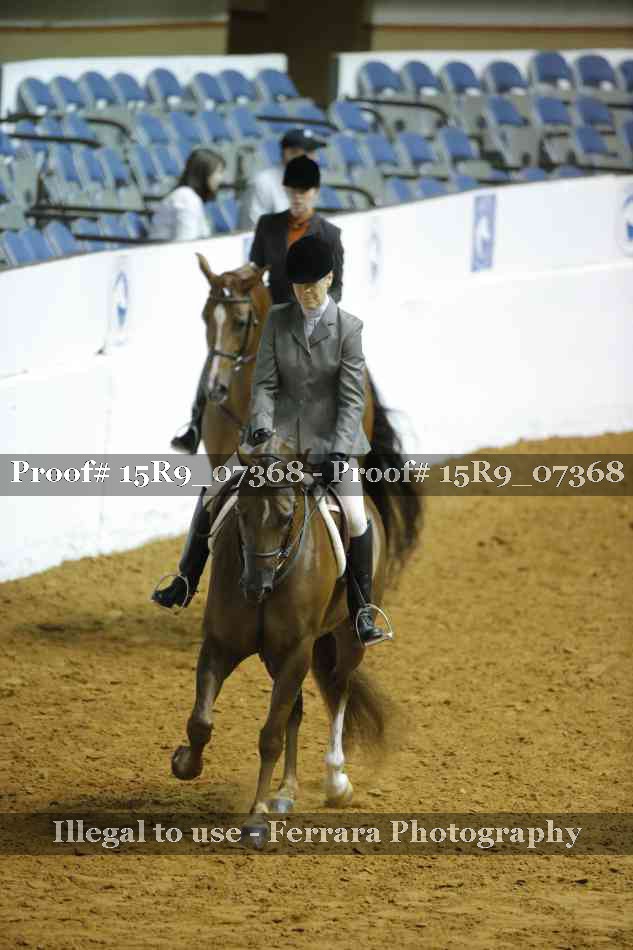 Proof Number 15R9_07368