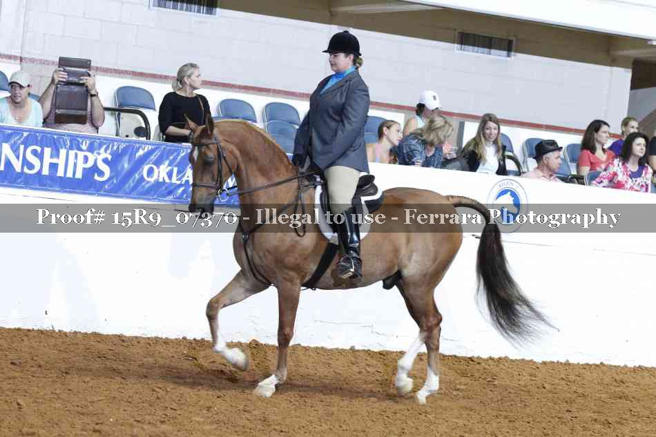 Proof Number 15R9_07370