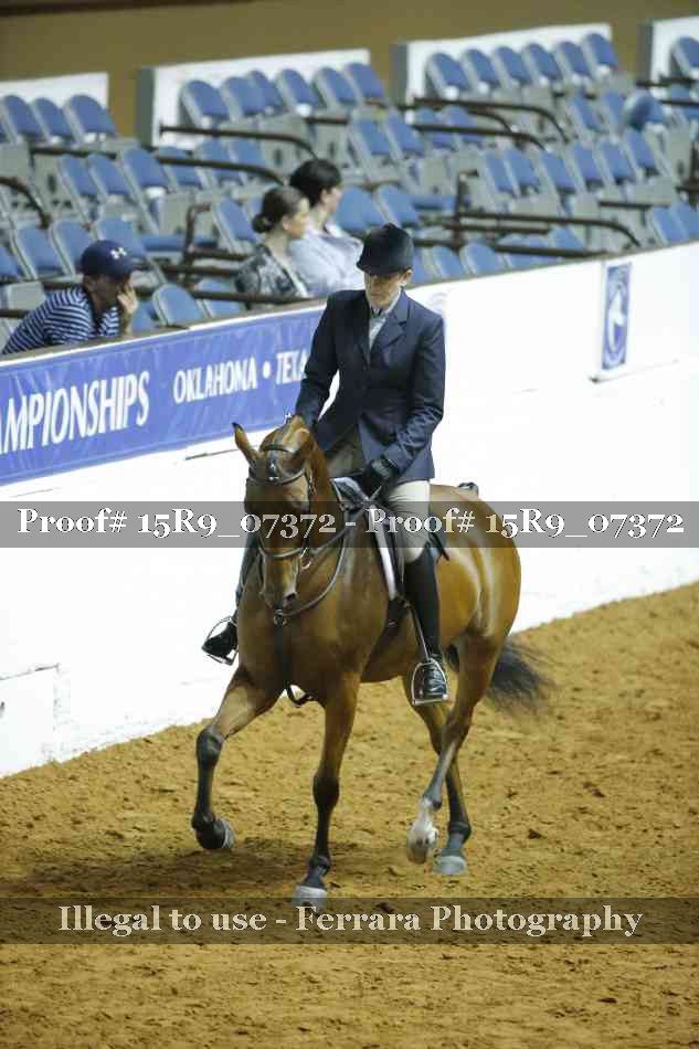Proof Number 15R9_07372
