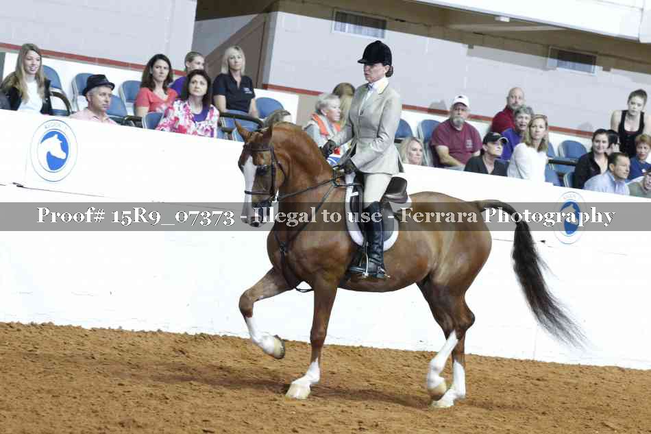 Proof Number 15R9_07373