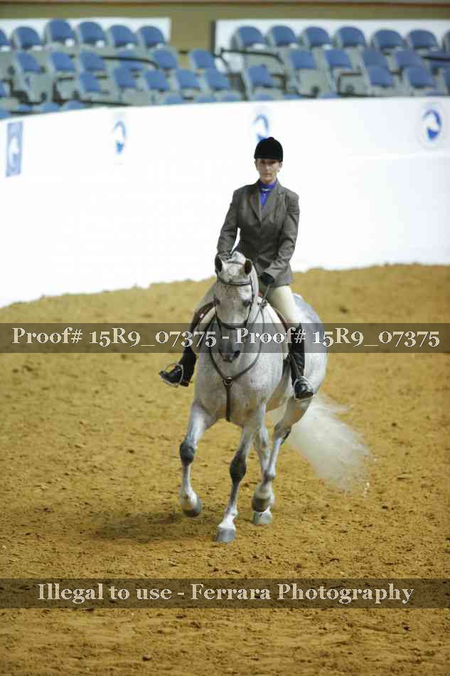 Proof Number 15R9_07375