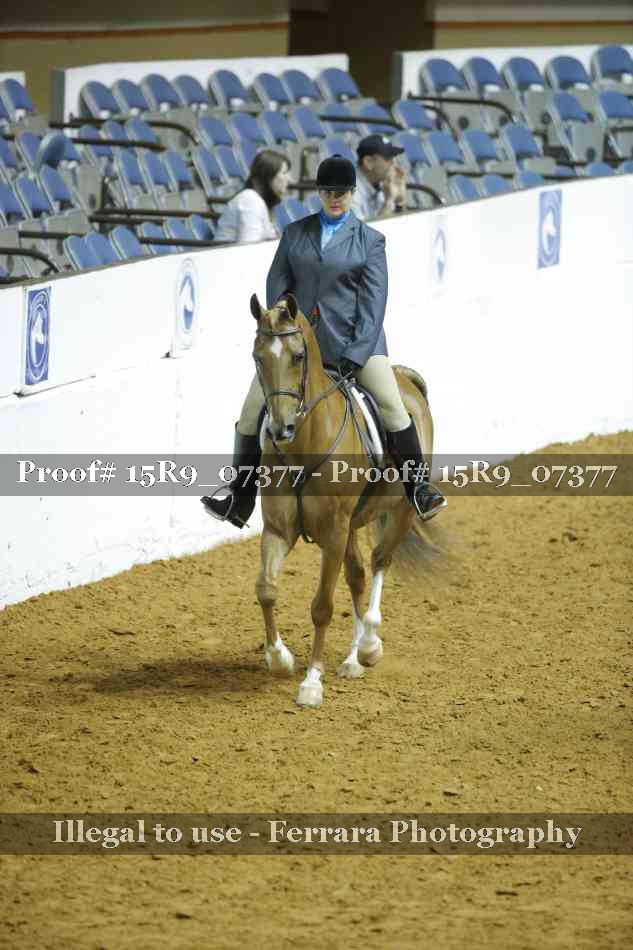 Proof Number 15R9_07377