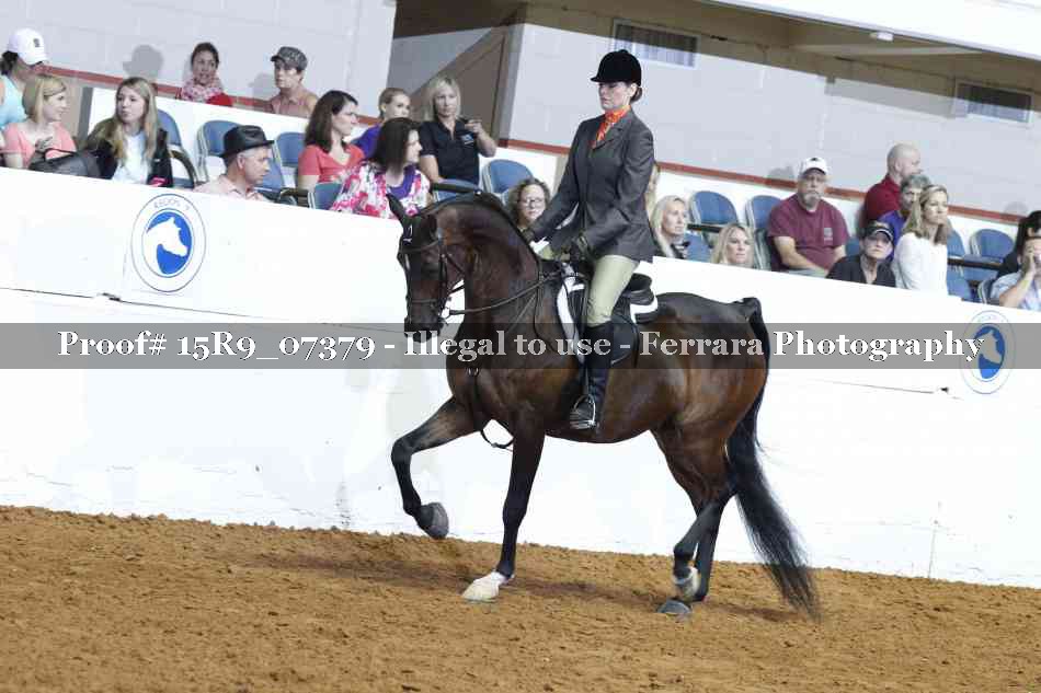 Proof Number 15R9_07379