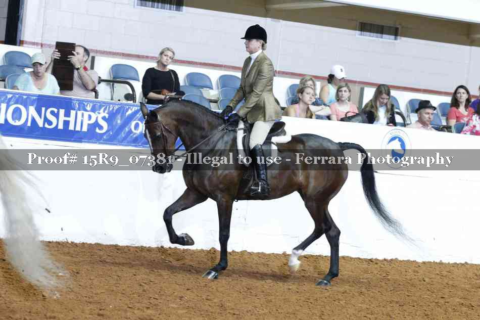 Proof Number 15R9_07381