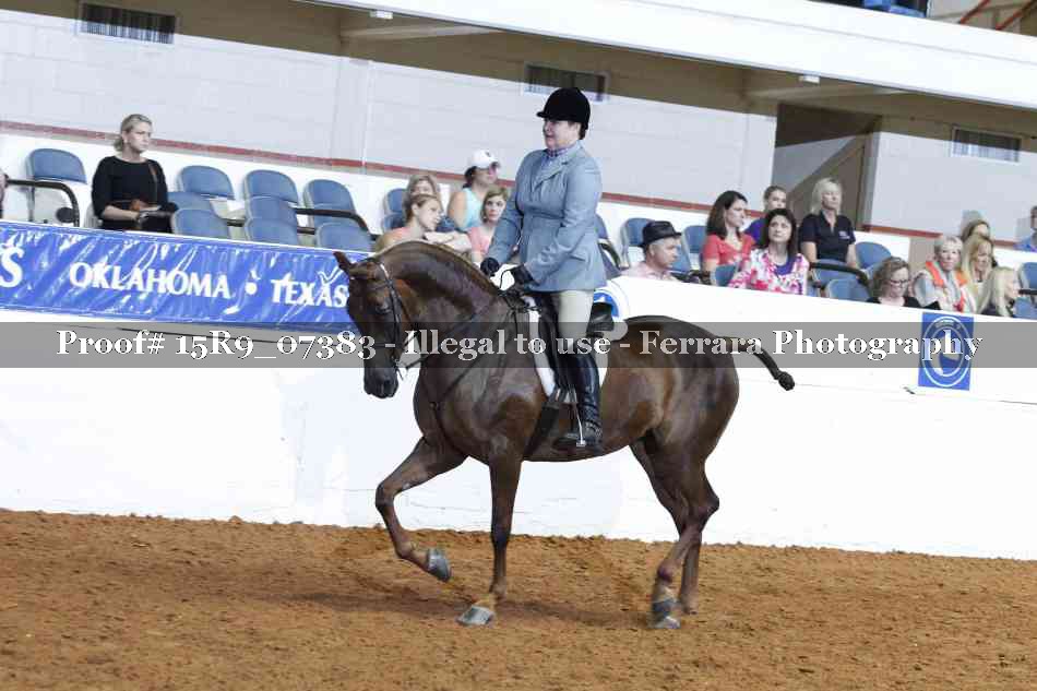 Proof Number 15R9_07383