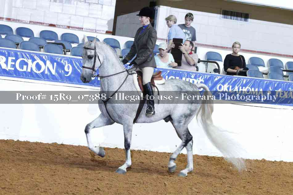 Proof Number 15R9_07388