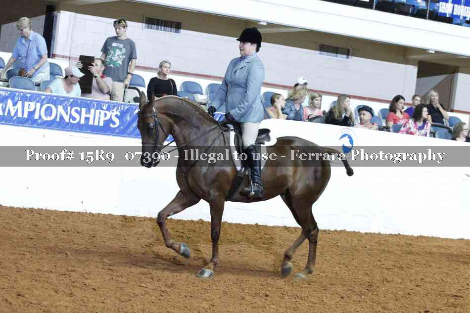 Proof Number 15R9_07390