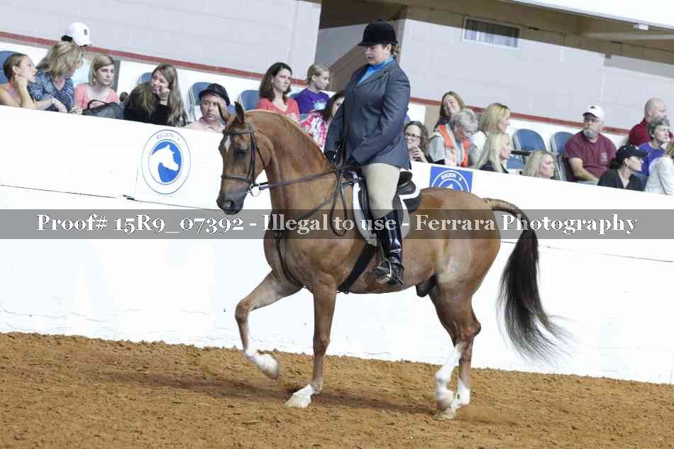 Proof Number 15R9_07392
