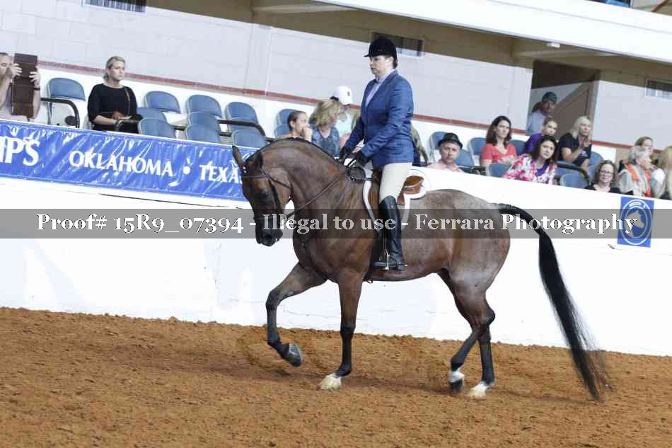 Proof Number 15R9_07394