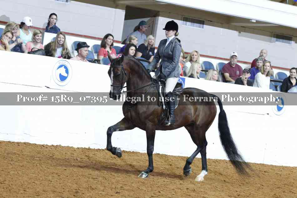 Proof Number 15R9_07395