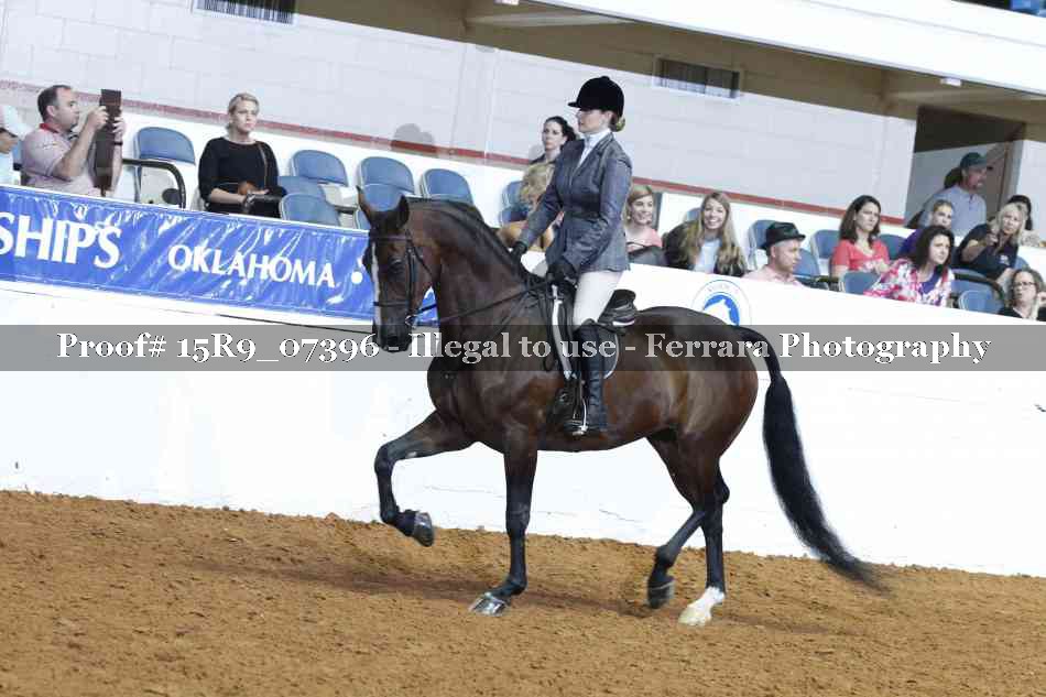 Proof Number 15R9_07396