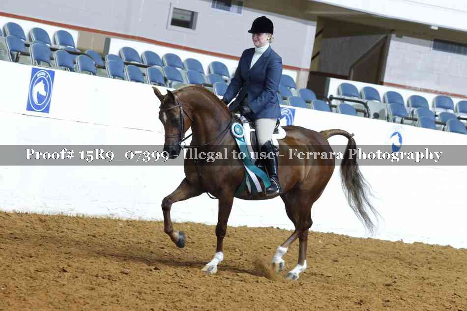 Proof Number 15R9_07399