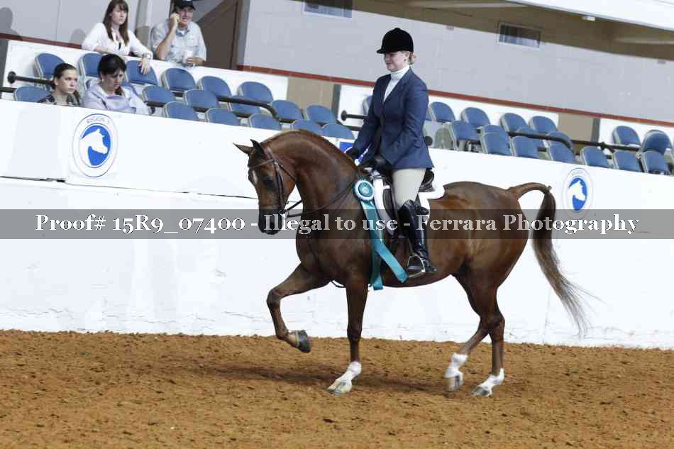 Proof Number 15R9_07400