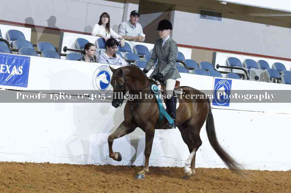 Proof Number 15R9_07405