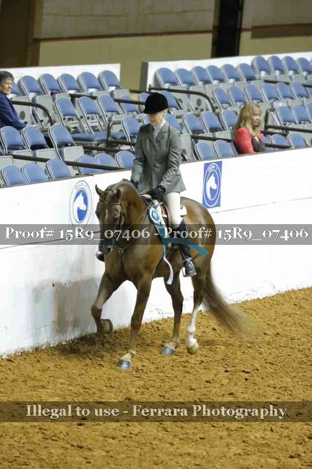 Proof Number 15R9_07406