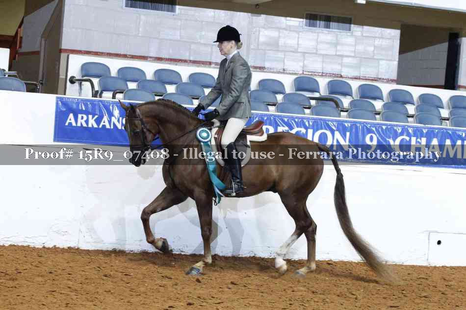 Proof Number 15R9_07408