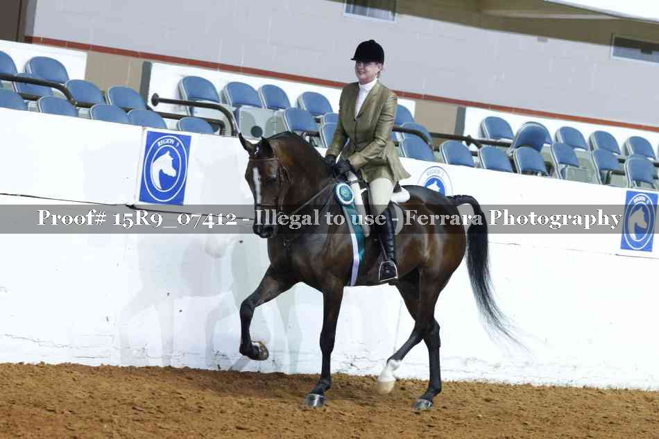 Proof Number 15R9_07412