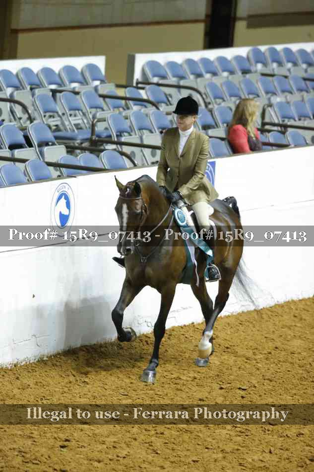 Proof Number 15R9_07413