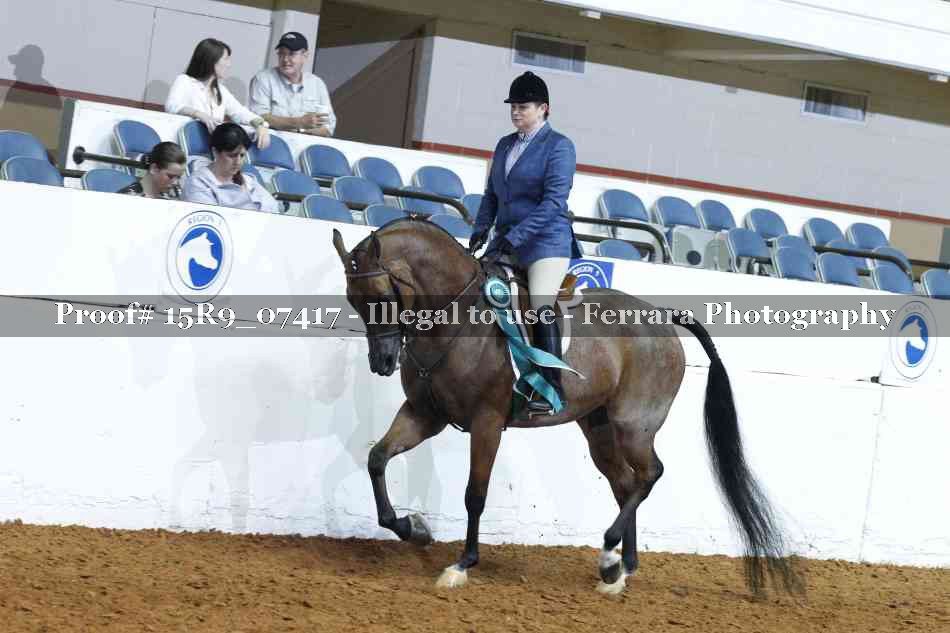 Proof Number 15R9_07417
