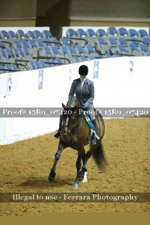 Proof Number 15R9_07420