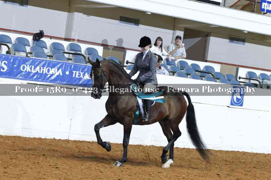 Proof Number 15R9_07423
