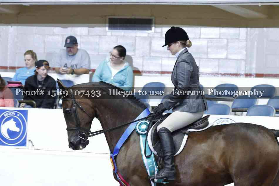Proof Number 15R9_07433
