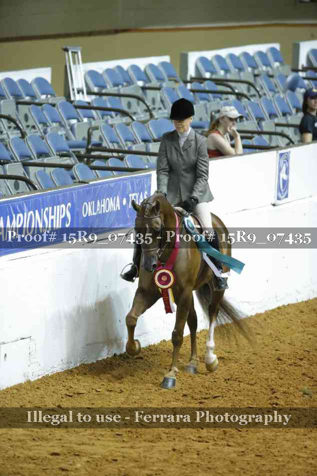 Proof Number 15R9_07435