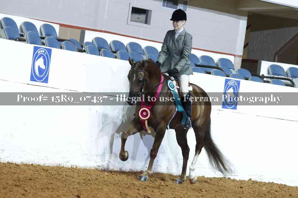 Proof Number 15R9_07437