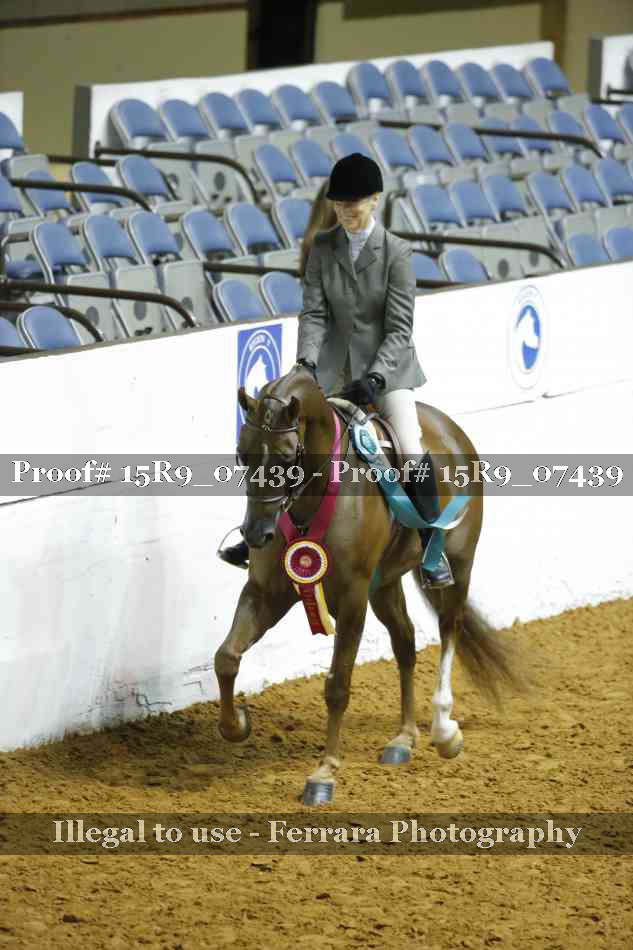 Proof Number 15R9_07439