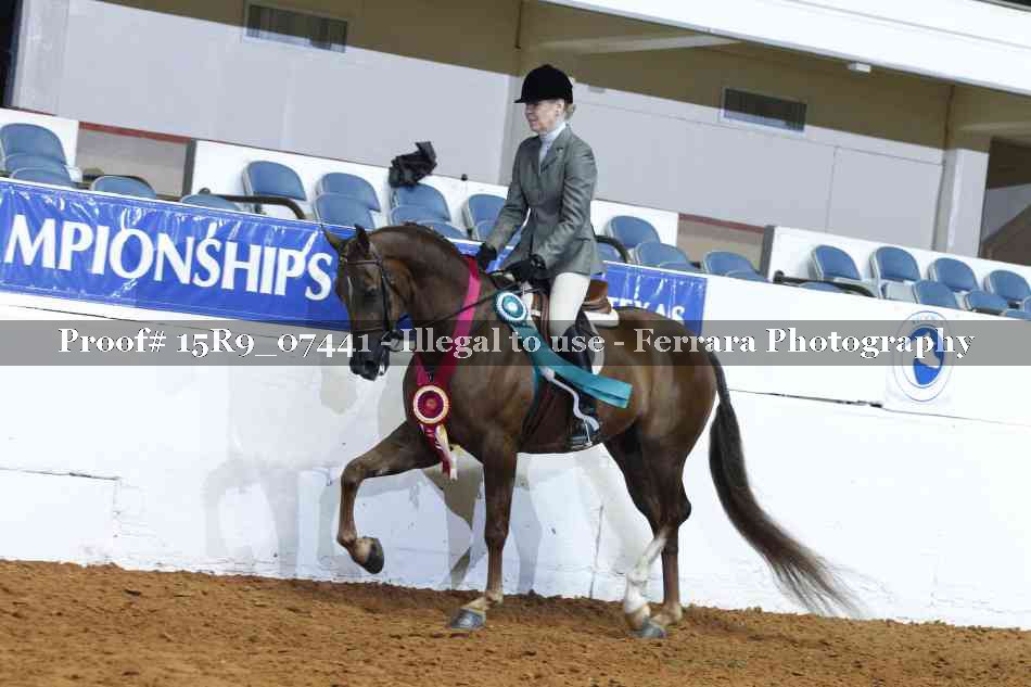 Proof Number 15R9_07441