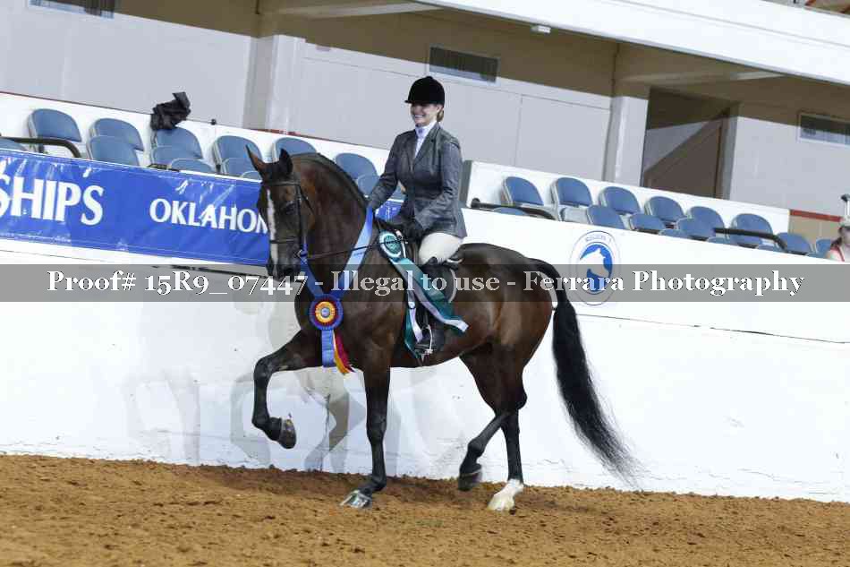 Proof Number 15R9_07447
