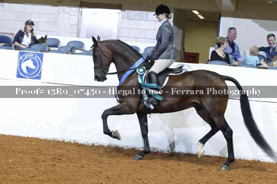 Proof Number 15R9_07450