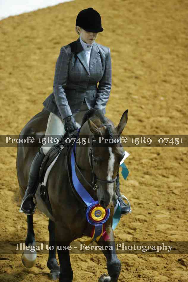 Proof Number 15R9_07451